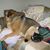 Susan Anderson's profile image