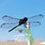Mary Maloy Pekarske's profile image