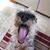 Jennifer Lehman Graci's profile image