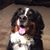 Kim Fisher's profile image