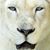 Carolyn Buchanan Powell's profile image