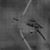 Kevin A. Barraza's profile image