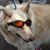 Leigh Mansberger's profile image