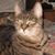 Florence Dennis's profile image