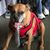 Karen Vanmeter's profile image