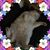 George Hanson's profile image