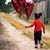Linda M. Rawlings's profile image