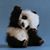 Justine M Drury's profile image