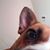 Dee Kay's profile image