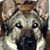 Rick Humphrey's profile image
