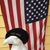 Linda Barron's profile image