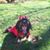 Richard Lupold's profile image