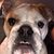 Rene Jean's profile image
