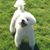 Donna Lea's profile image