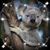 Doreen Butler's profile image