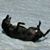Charlie Musser's profile image