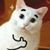Michelle Rojo's profile image