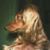 Ellen Strong's profile image