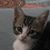 Pam Hagan's profile image