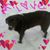 Theresa Norris's profile image