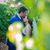 Pavan Sandha's profile image