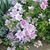 Betty Ann Mitchell's profile image
