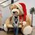Yoko Nomura's profile image
