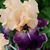 Heather Morgan's profile image
