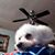 Margara Ramirez's profile image