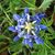 Nelda Harmon Norwood's profile image