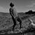 Greg Hering's profile image