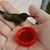Diane McCorkle Levron's profile image