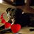 Annette Sue Brittson's profile image