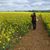 Debra VanBevers's profile image