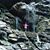 Susan Hess's profile image
