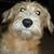 Wanda Thomas Johnson's profile image