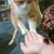 Kristy Ostringer Adorno's profile image