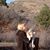 Liz Frostig St Clair's profile image