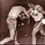 Rocky Cabiles Sr.'s profile image