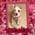 Julianne DeBray's profile image