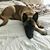Donna Kerby Rogers's profile image
