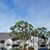Western Tree Service's profile image