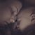 Briana Coulbourne's profile image