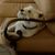 Mary Lotts's profile image