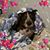 Julie Cowne's profile image