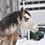 Michele Kavanaugh-Corey's profile image
