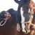 Aliki Otey's profile image