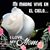 Roxana Santos Luna's profile image