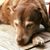 Laurie Carr Robl Brumfield's profile image
