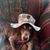 Jeff Armbruster's profile image